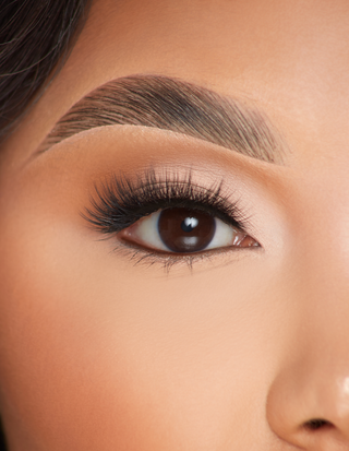 P.Louise Lashes - täydessä kukassa