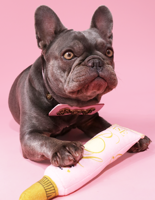 P.Louise Base Dog Lelu