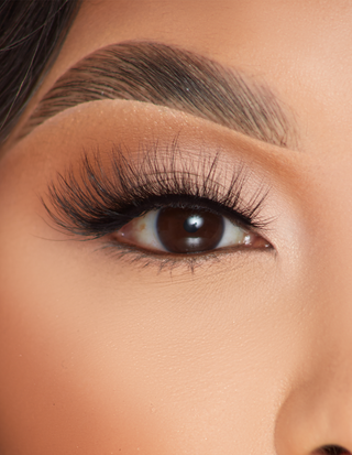 P.Louise Foxy Flicks Lashes